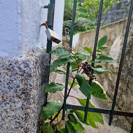 Moradia T2 Em Bairro Pitoresco Da Covilha Exterior photo