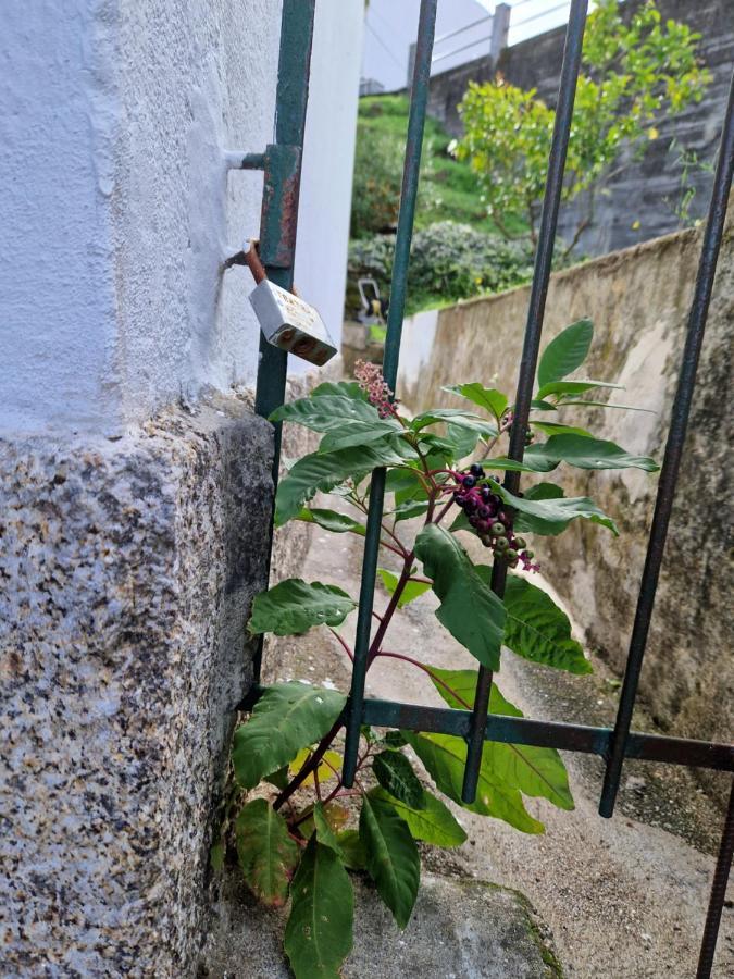 Moradia T2 Em Bairro Pitoresco Da *